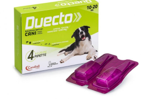 Candioli Duecto Spot On 4 Pipette cane da 10 - 20 kg